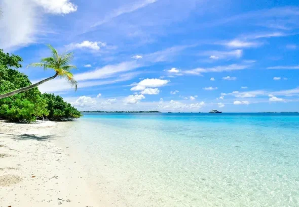 Jungle Resorts in Goa